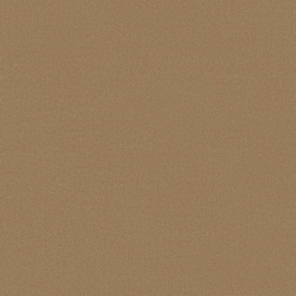 Anderson Tuftex Finery Carpet in Amber Wave, , large