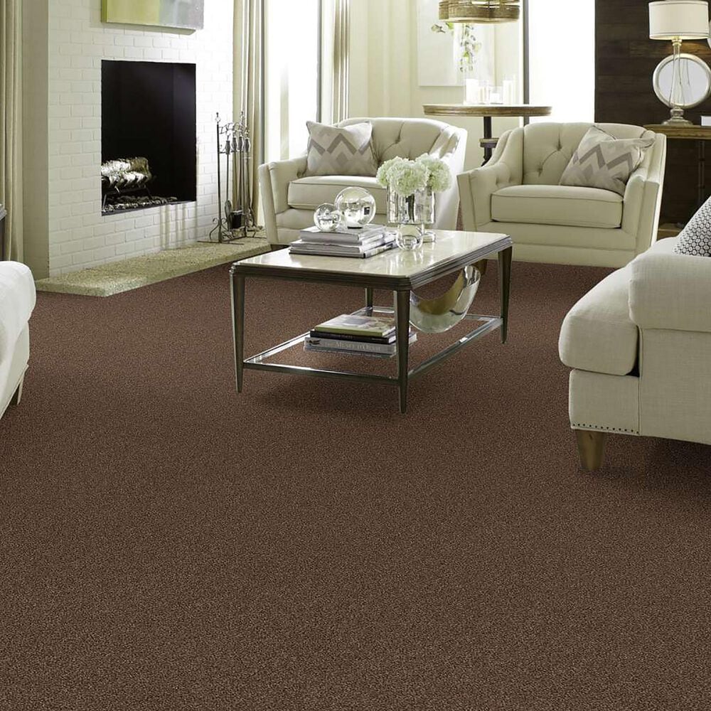 Anderson Tuftex Caress Cozy Harbor I Carpet in Raw Wood, , large
