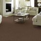 Anderson Tuftex Caress Cozy Harbor I Carpet in Raw Wood, , large