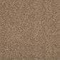 Mohawk Memory Lane II Carpet in Brazen, , large