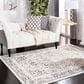 Safavieh Skyler SKY126K 3" x 5" Gray and Ivory Area Rug, , large