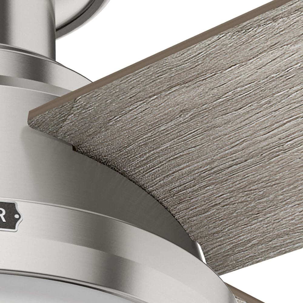 Hunter Dempsey Low Profile 52&quot; Ceiling Fan with Light Gray Oak Blades in Brushed Nickel, , large