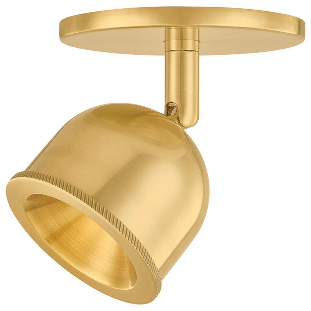 Hudson Valley Lighting Tuthill 1-Light Flush Mount in Aged Brass, , large