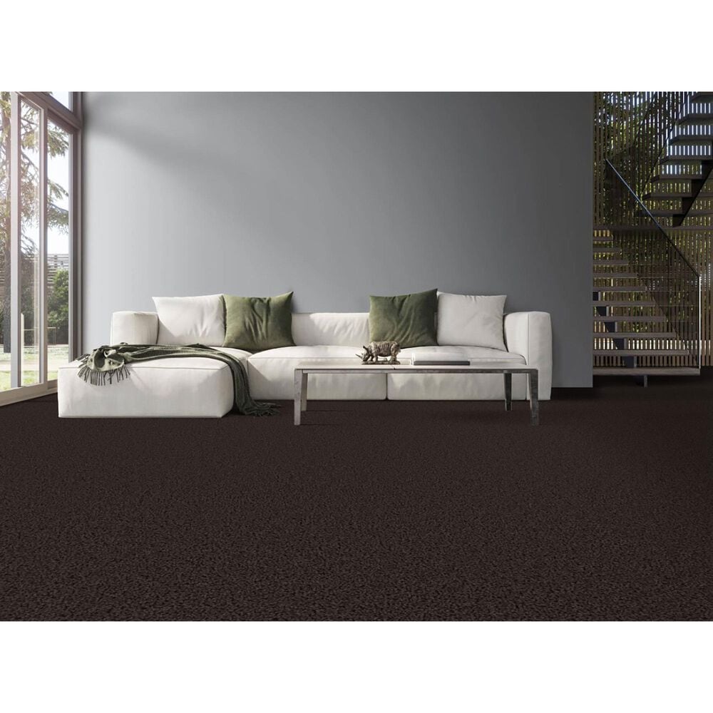 Masland Indulgence Carpet in Black Olive, , large