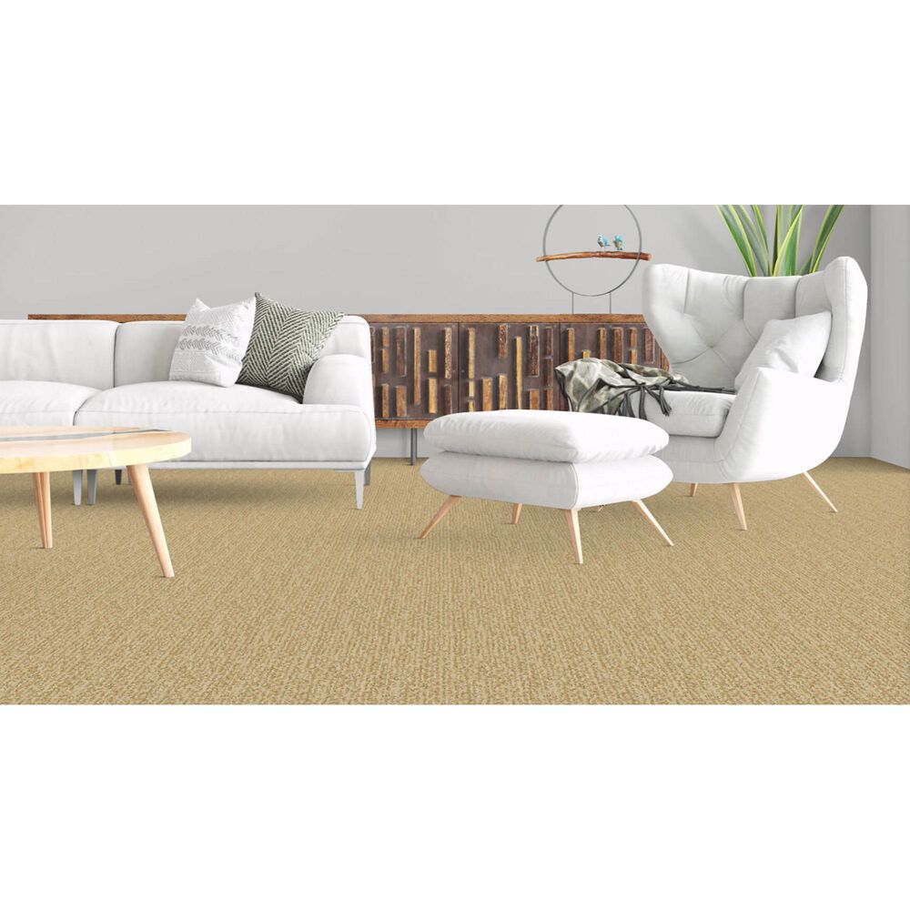 Masland Mesa Verde Carpet in Somerset, , large