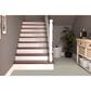 Masland Summit Carpet in Mouse, , large