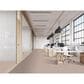Masland Fascinating Carpet in Joyous, , large