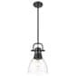 Golden Lighting Duncan 1-Light Small Pendant with Rod and Clear Shade in Matte Black, , large