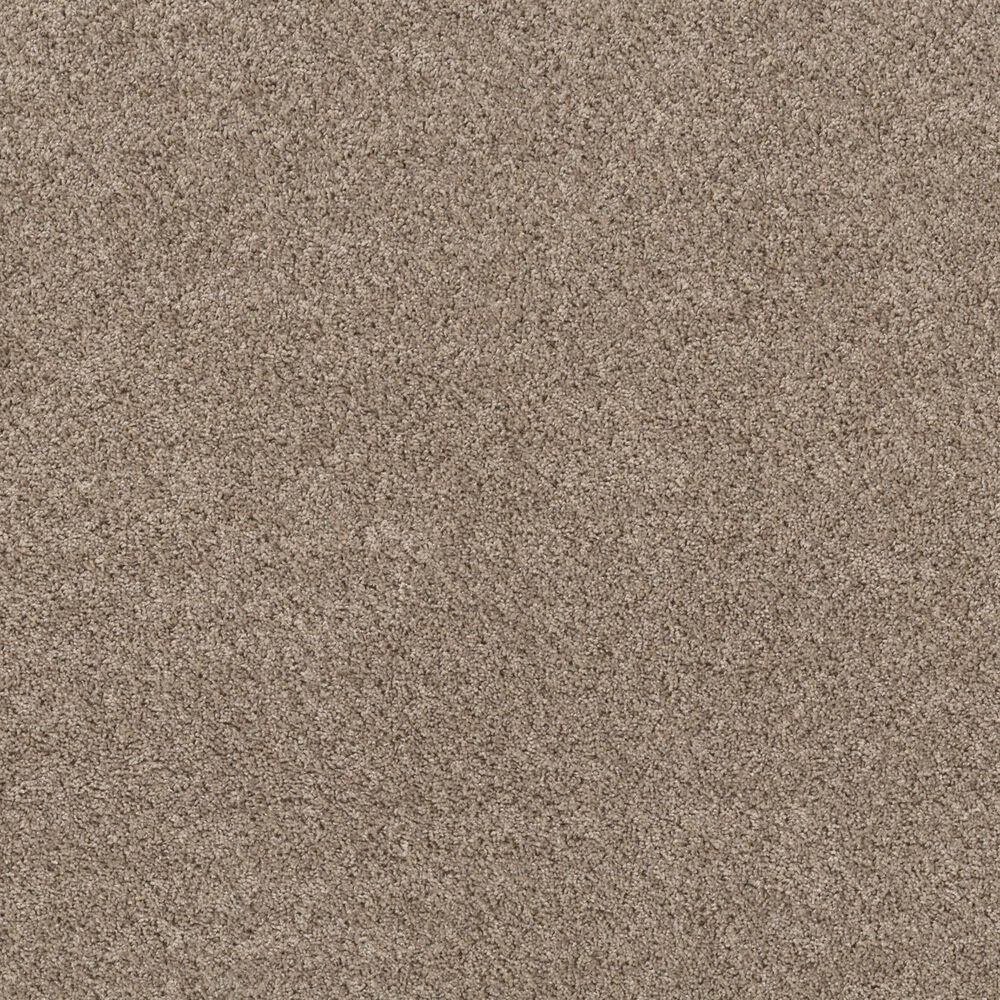 Philadelphia Mixed Essentials Carpet in Sunkissed, , large