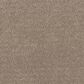 Philadelphia Mixed Essentials Carpet in Sunkissed, , large