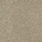Dixie Home Outlast Carpet in Pebble, , large