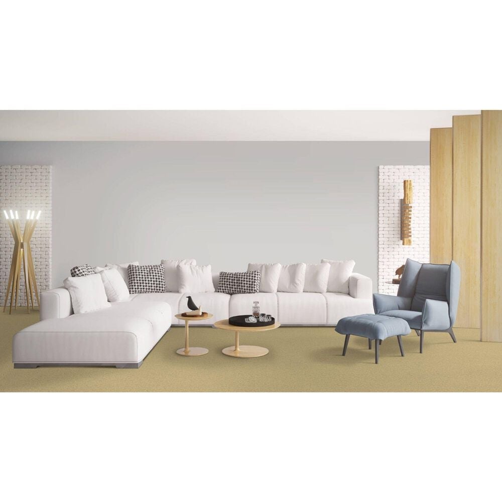 Dixie Home Simplicity Carpet in Portico, , large