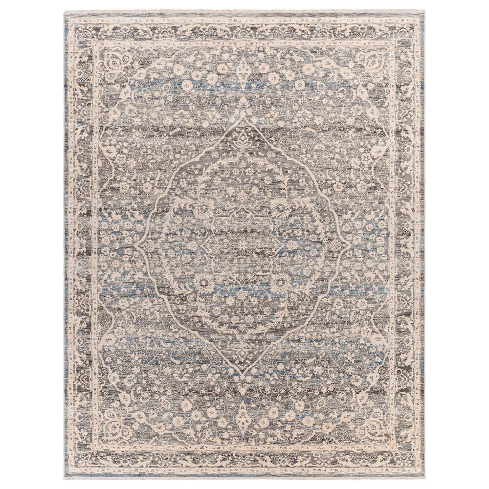 Surya Chicago CHG2315 8"10" x 12"7" Slate, Charcoal, Light Beige, Blue, Black,Taupe Area Rug, , large