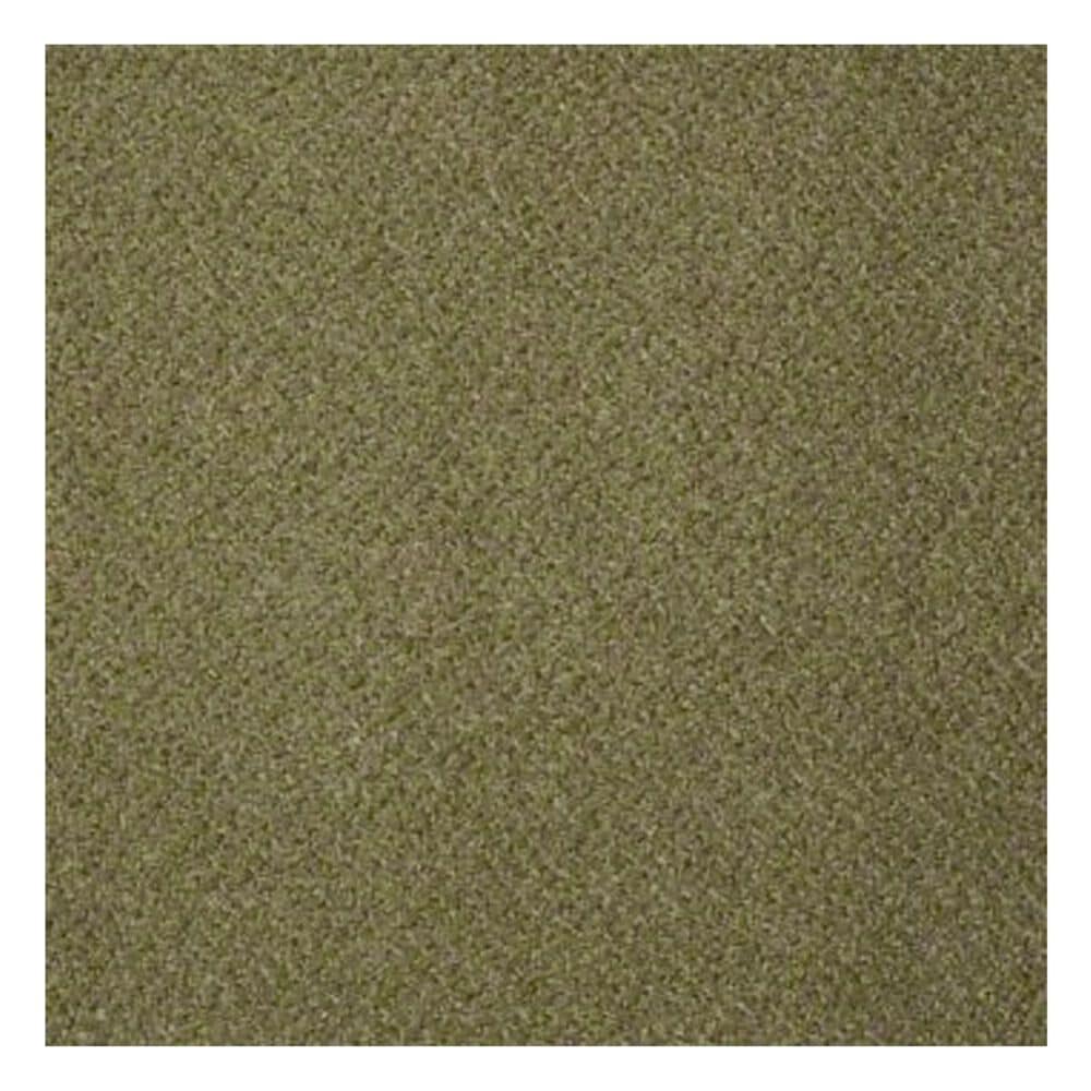 Shaw Primus Carpet in To Begin With, , large