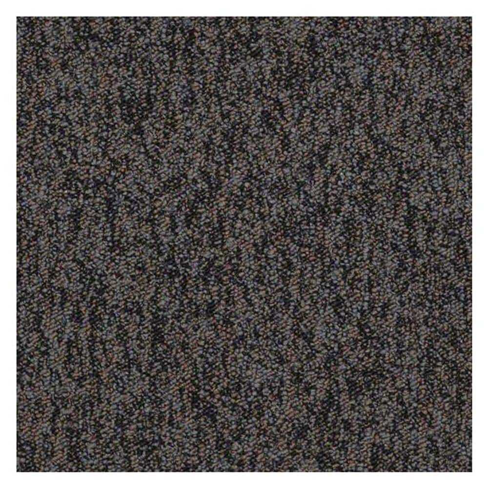 Shaw Sound Advice Carpet in Stay Active, , large