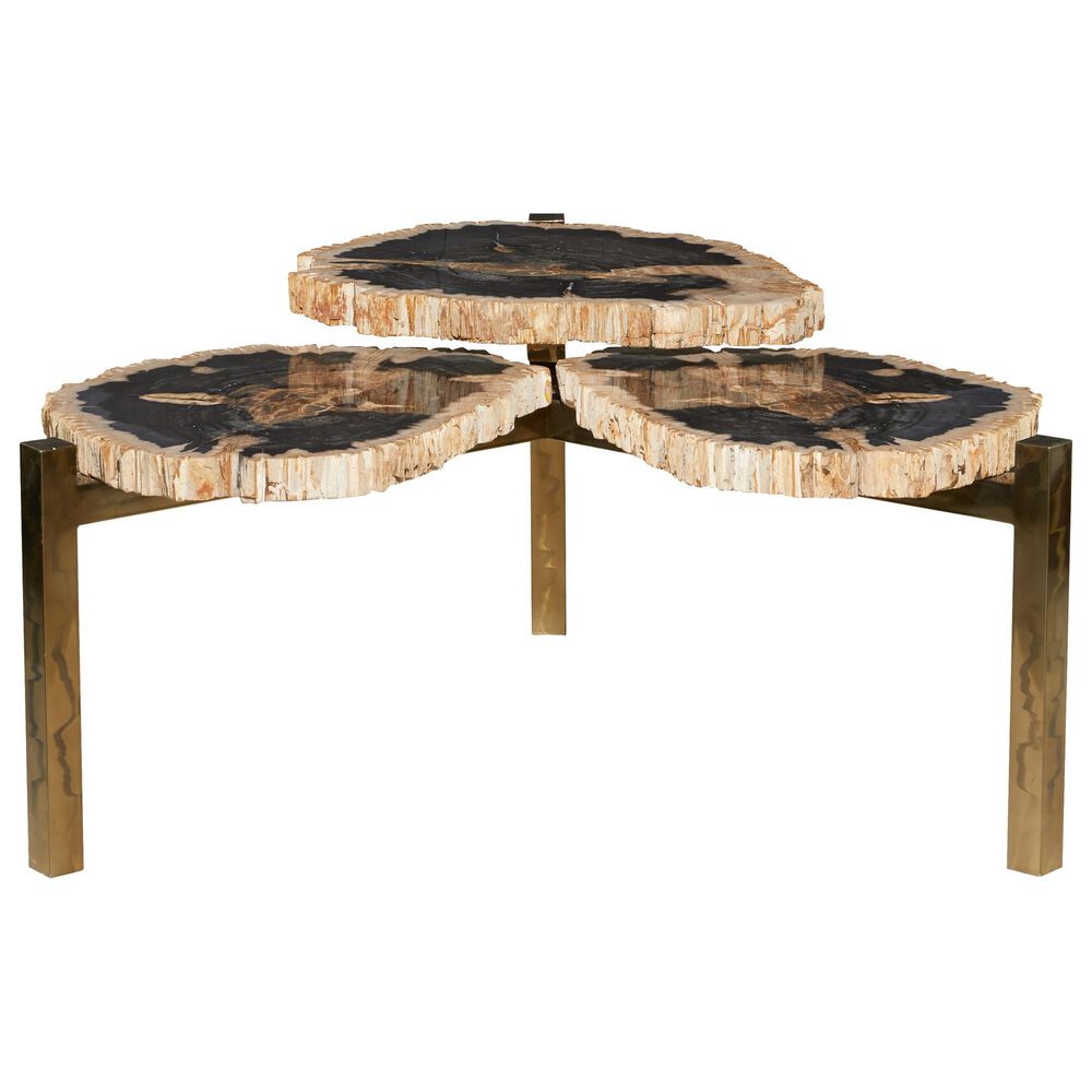 Maple and Jade Contemporary Petrified Wood Coffee Table in Brown, , large