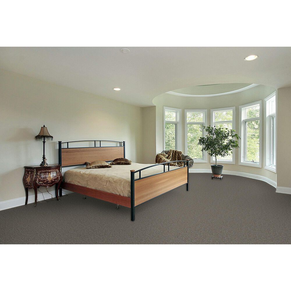 Dream Weaver Royale II Carpet in Dogwood, , large