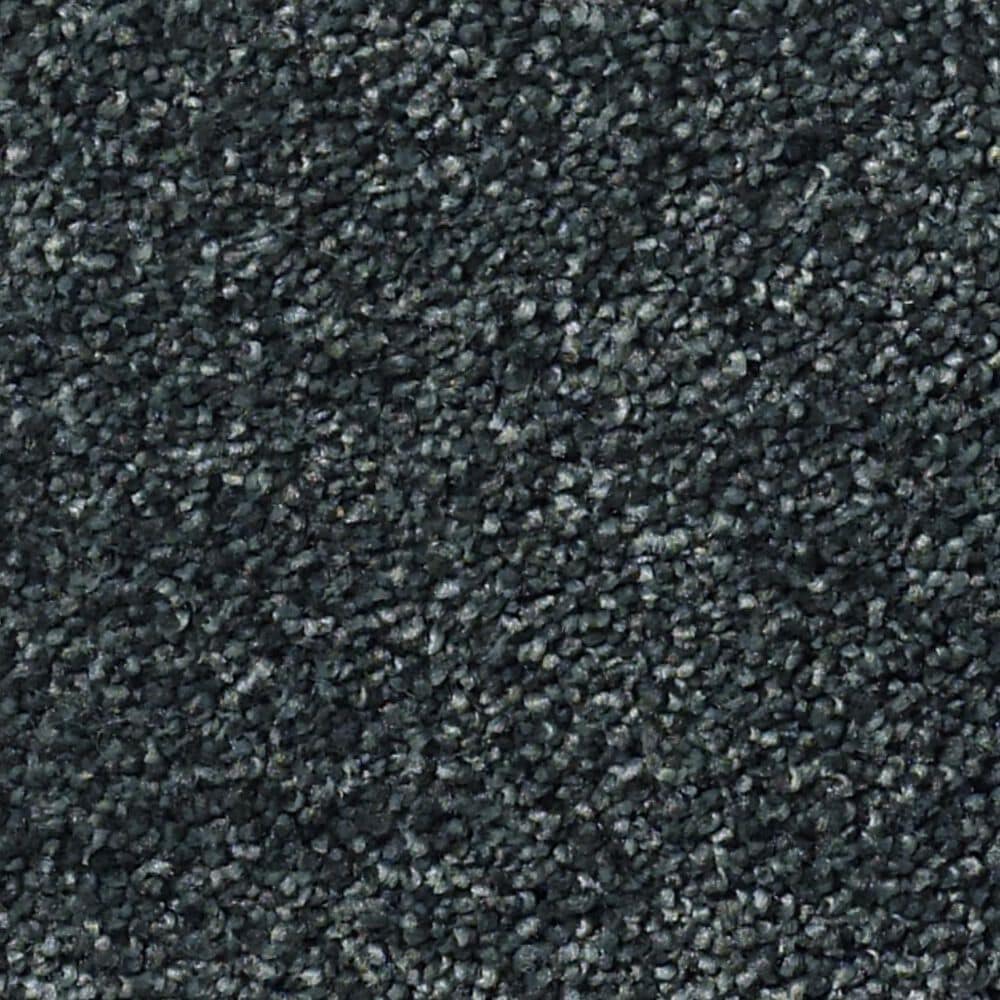 Shaw Find Your Comfort NS II Carpet in Hanging Vine, , large