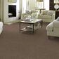 Anderson Tuftex Caress Cozy Harbor I Carpet in Tumbleweed, , large