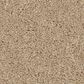 Anderson Tuftex Enchanting Carpet in Transparent, , large