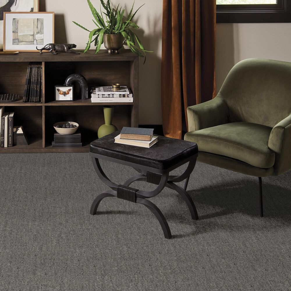 Anderson Tuftex Tactile Carpet in Nightfall, , large