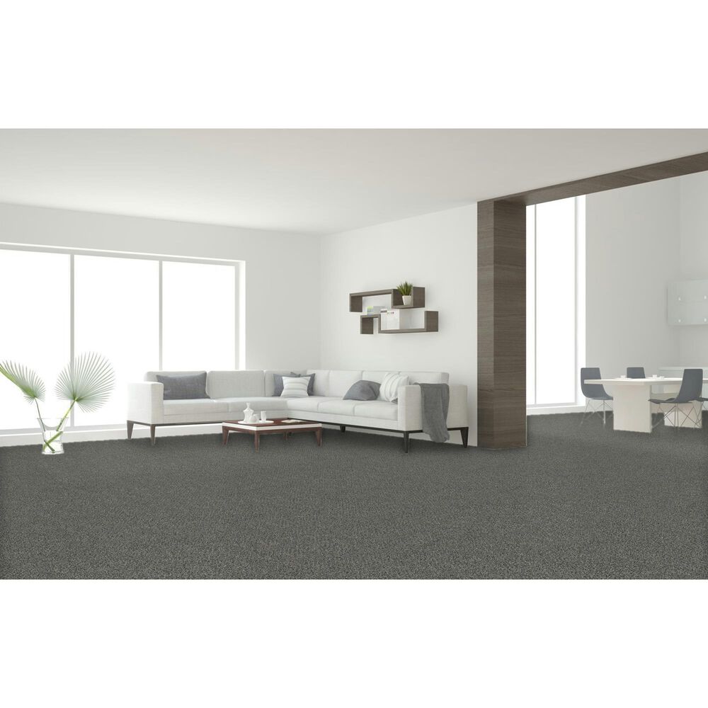 Dream Weaver Gamechanger Carpet in Reserve, , large