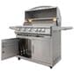 Blaze Premium LTE+ 40" Propane Gas Grill with 5-Burner in Stainless Steel, , large