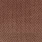 Fabrica Dover Carpet in Cameo, , large