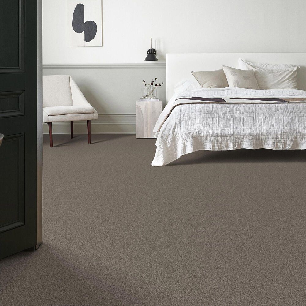 Anderson Tuftex Avalon Bay Carpet in Ottertail, , large