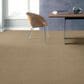 Shaw Acadia Park Carpet in Serengeti, , large