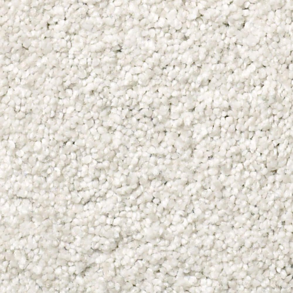 Shaw Find Your Comfort TT II Carpet in Neighborhood Bistro, , large