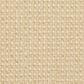 Masland Gallantry Too Carpet in Banana Cream, , large