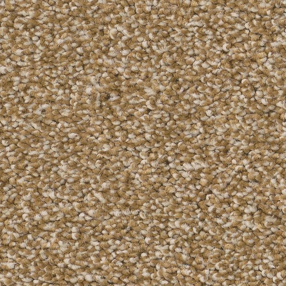 Anderson Tuftex Cypress Falls Carpet in Prairie, , large