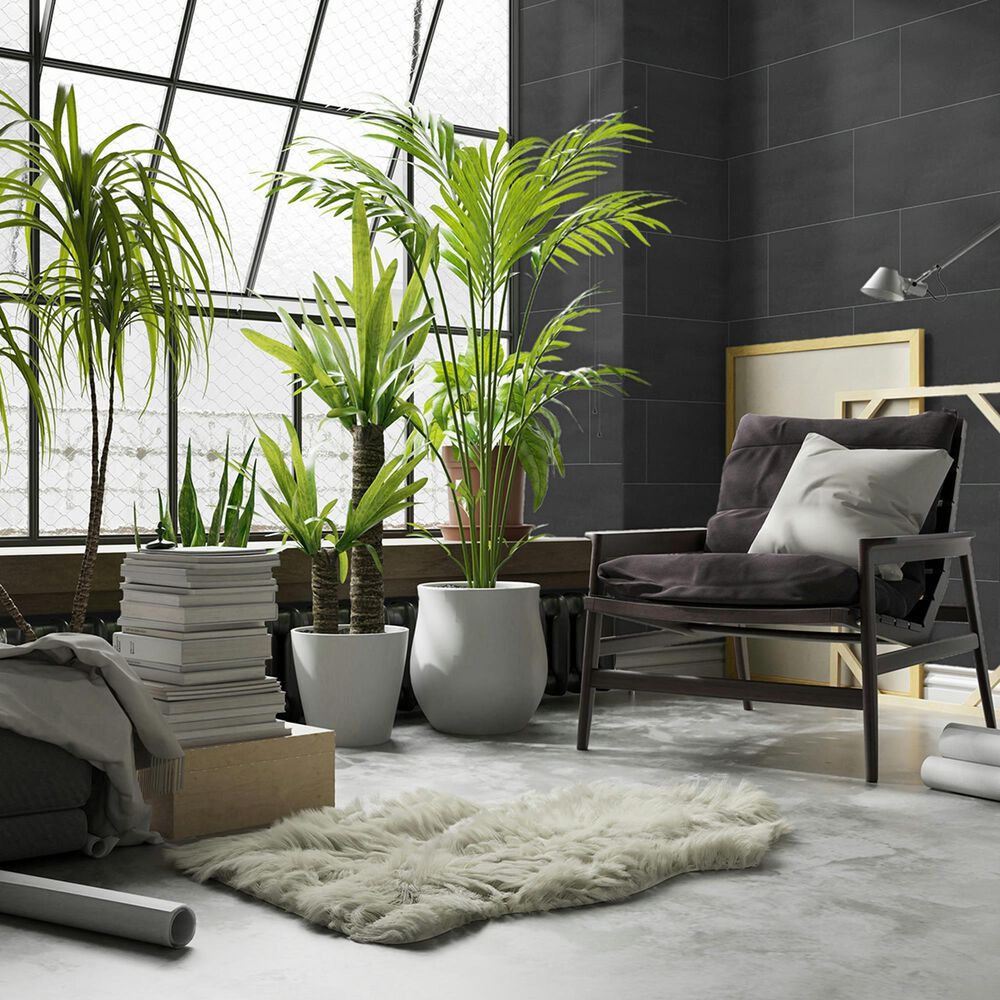 Emser Prodigy Pascal 12&quot; x 24&quot; Matte Porcelain Tile, , large