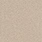 Dream Weaver Cape Cod Carpet in Ivory, , large