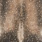 Loloi Bryce BZ-04 3"10" x 5" Mocha and Gold Area Rug, , large