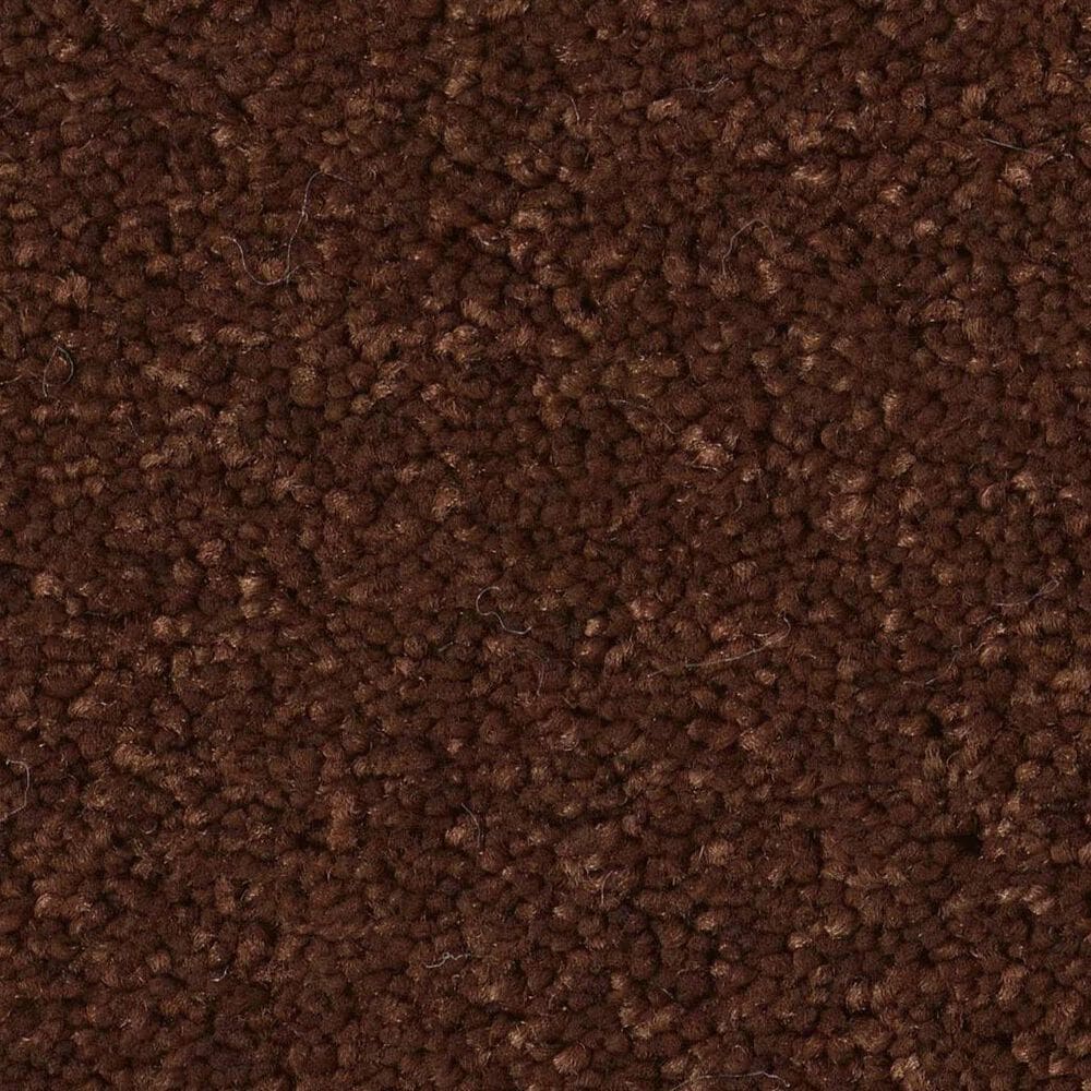 Anderson Tuftex Enduring Charm Carpet in Cinnabar, , large