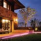 Monster Smart Illuminessence 16.4" Multicolor and Multi White Indoor/Outdoor LED Light Strip, , large