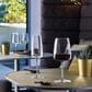 Bormioli Planeo Red Wine Glasses in Clear (Set of 4), , large