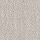 Shaw Natural Instinct Carpet in Ash, , large