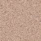 Anderson Tuftex Enduring Charm Carpet in Apricot Ice, , large