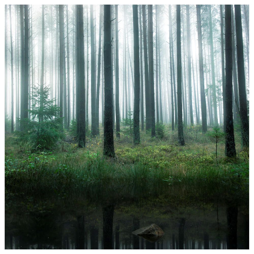 Timberlake Christian Lindsten "Lake In Forest" 24" x 24" Canvas Art, , large