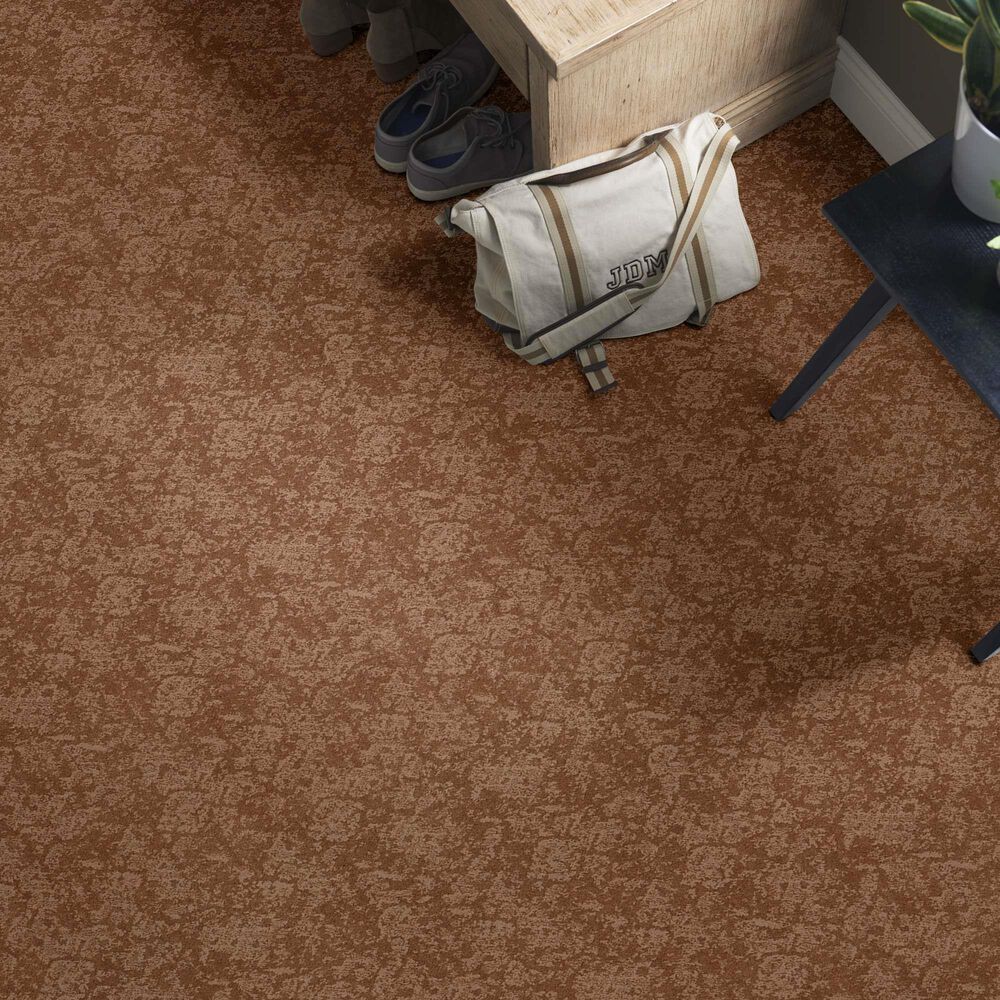 Anderson Tuftex Caress Free Spirit Carpet in Sunbaked, , large