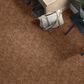 Anderson Tuftex Caress Free Spirit Carpet in Sunbaked, , large