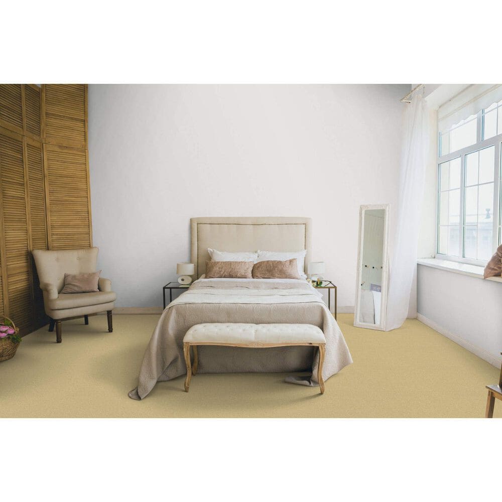 Dixie Home Simplicity Carpet in Portico, , large