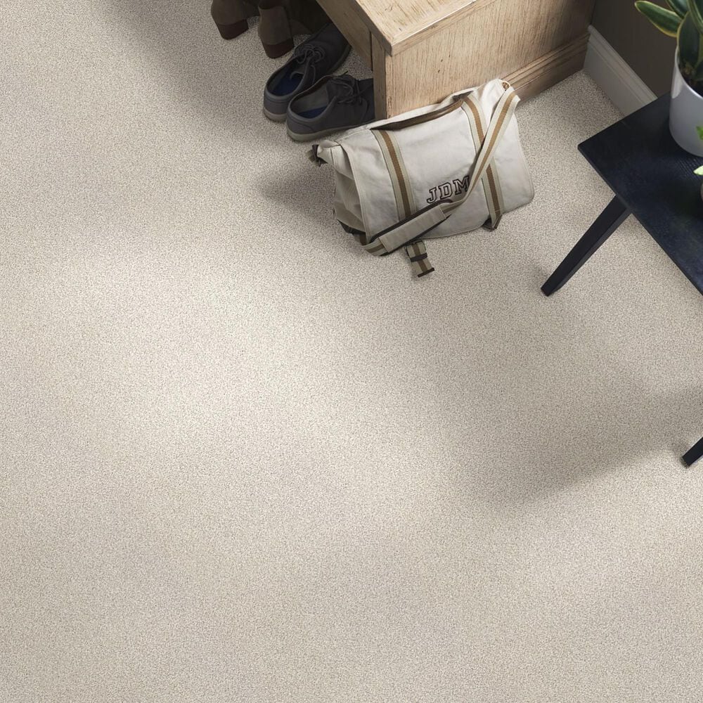 Shaw Find Your Comfort TT I Carpet in Need a Hug, , large
