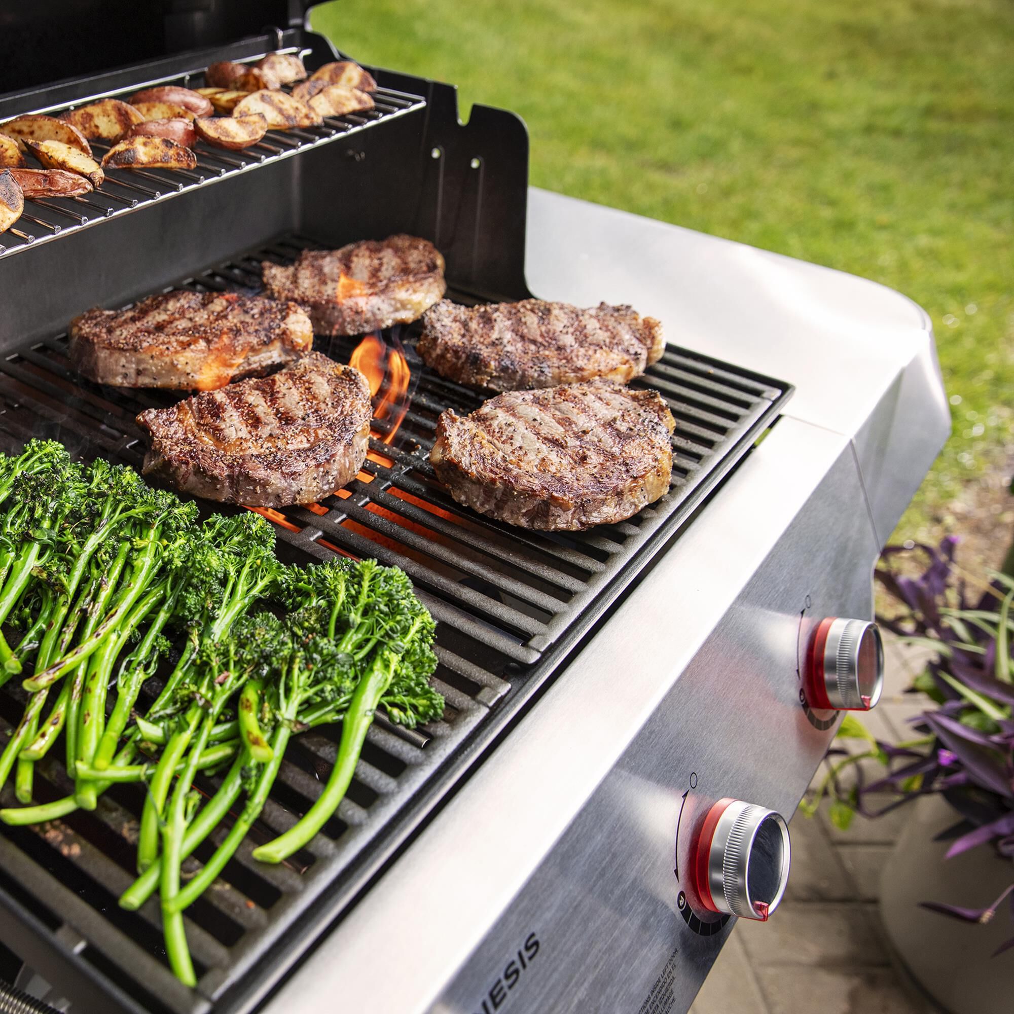 Weber genesis smoker best sale