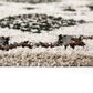 Balta Rugs Stella Felipe Green 5"3" x 7" Area Rug, , large