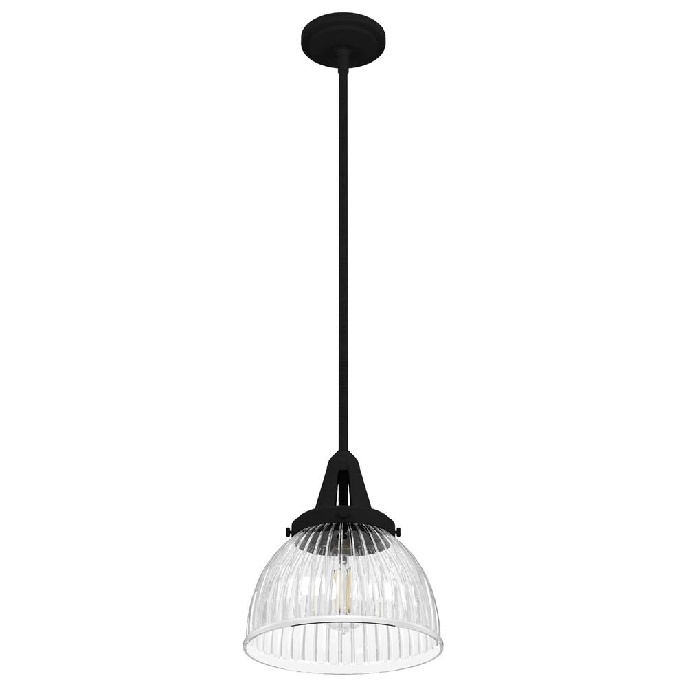 Hunter Cypress Grove 10&quot; 1-Light Pendant in Natural Iron, , large