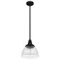 Hunter Cypress Grove 10" 1-Light Pendant in Natural Iron, , large